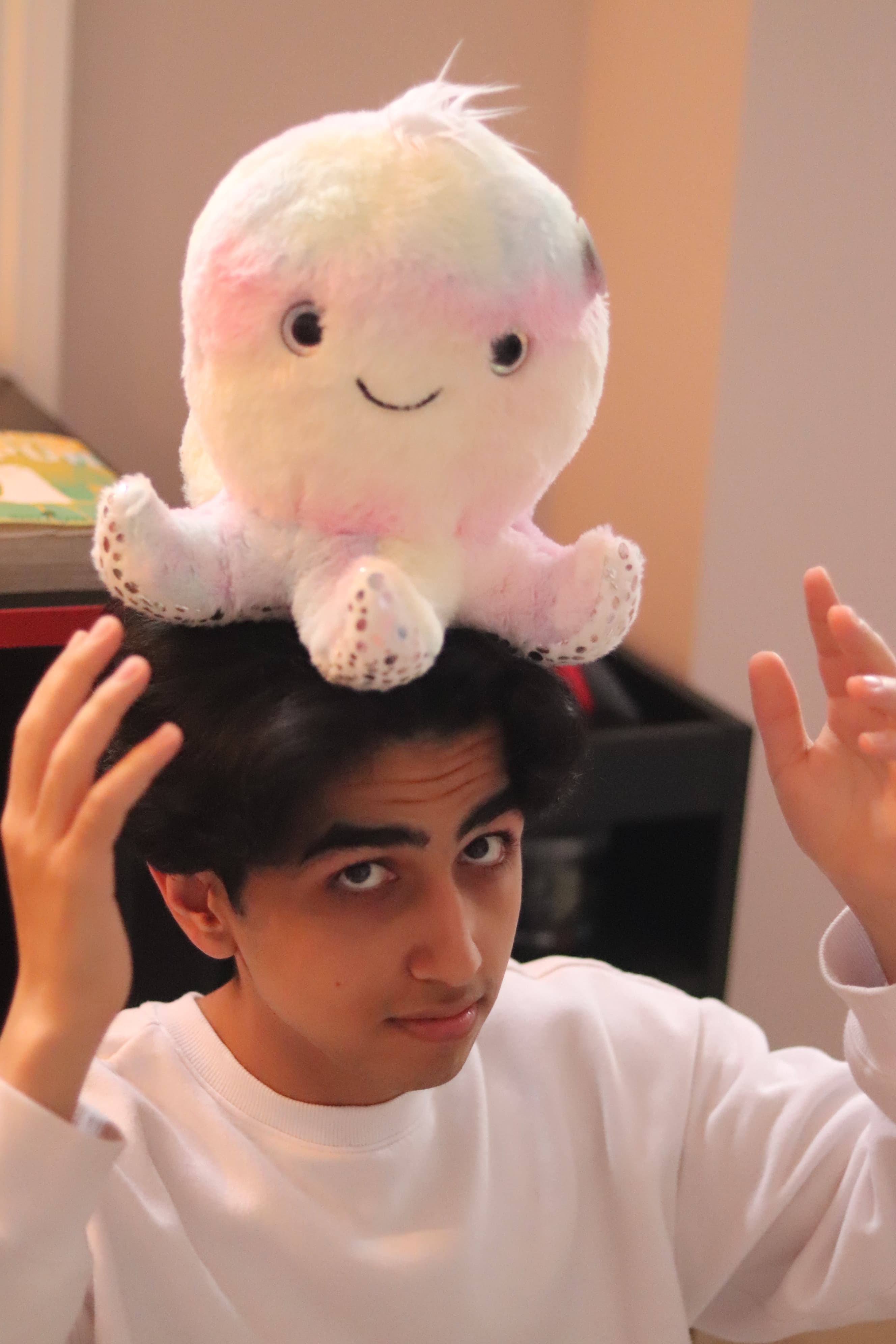 Parsa Ahmadnezhad